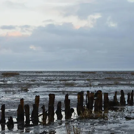 Lyngvejen Xxi 度假居 *